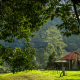 houses for sale darwin rural